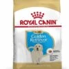 Royal Canin Golden Retriever Puppy - Hondenvoer - 12kg -ROYAL CANIN Winkel 026f5540d2ca8bc3ecf362bb749c1bbdd7af427210bc997b8c60f6d693812f22