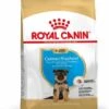 Royal Canin German Shepherd/Duitse Herder Puppy - Hondenvoer - 3kg -ROYAL CANIN Winkel 17c54121c671f6cdfe28f38823b7d555834d2ee0902018a53cc90ac4abfd285e