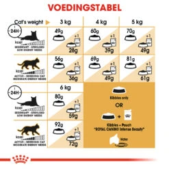 Royal Canin Sphynx 33 - Kattenvoer - 2kg -ROYAL CANIN Winkel 29928a8be3d06a44d946ef033ca054e9e16c4cc635ad93e245cceaa6367db813 3