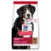 Hill's Hill’s Science Plan Adult Large Breed Lam & Rijst 14kg -ROYAL CANIN Winkel 49940887232eda2e843664ffc760c75def416be60dac99467de6fa19a7fbc81b