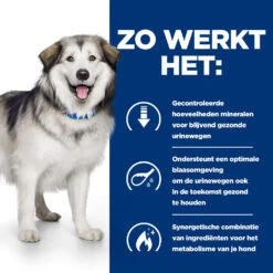 Hill's Prescription Diet C/d Multicare + Metabolic, Urinary + Weight Care Hondenvoer 1.5kg Zak -ROYAL CANIN Winkel 52742037394 2 NL