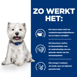 Hill's Prescription Diet Derm Complete Mini Hondenvoer 6 Kg Zak -ROYAL CANIN Winkel 52742038797 2 NL