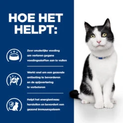 Hill's Hill’s Prescription Diet I/D – Kattenvoer Met Zalm – Maaltijdzakjes 12x85g -ROYAL CANIN Winkel 52742040257 3 NL