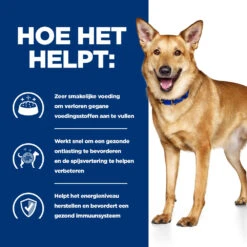 Hill's Prescription Diet I/d Digestive Care Hondenvoer Met Kip 16kg -ROYAL CANIN Winkel 52742043166 3 NL