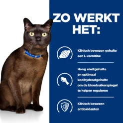 Hill's Hill’s Prescription Diet M/D – Kattenvoer Met Kip – 1,5kg -ROYAL CANIN Winkel 52742048208 2 NL