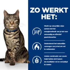 Hill's Prescription Diet Metabolic Tonijn Voor Kat 3kg -ROYAL CANIN Winkel 52742057897 2 NL