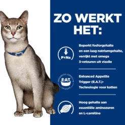 Hill's Hill’s Prescription Diet K/D – Kattenvoer Met Rund – Maaltijdzakjes 12x85g -ROYAL CANIN Winkel 52742274102 2 NL