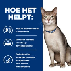 Hill's Hill’s Prescription Diet K/D – Kattenvoer Met Rund – Maaltijdzakjes 12x85g -ROYAL CANIN Winkel 52742274102 3 NL