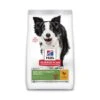 Hill's Science Plan Mature Adult 7+ Senior Vitality Medium Hondenvoer Met Kip & Rijst 2,5kg -ROYAL CANIN Winkel 70ce6ca7b7b4552d67e85fff2e21e635ea2039a24b4a6e97532024c38c67fb41