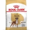 Royal Canin Boxer Adult - Hondenvoer - 3kg -ROYAL CANIN Winkel 77da4b93dd869822d8b65e2a3474554b290c1538693aedbd22e86bfc29fc565c