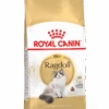 Royal Canin Ragdoll 2kg 2 Royal Canin Ragdoll 2kg -ROYAL CANIN Winkel 78f149d401e1b62ba1cdefe4ed01e38ca89576f0ae5f4d0f8febc7ef763b32af
