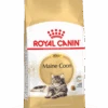 Royal Canin Maine Coon 4kg -ROYAL CANIN Winkel 85acee602dcc994f5f769e8e0da15307a915f78e661fa8abee1defc3025ed010
