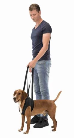 Trixie Loophulp L 65–75 Cm 7 Trixie Loophulp L 65–75 Cm -ROYAL CANIN Winkel 85b322f9b7526a208255492098ed26e73a05d5fdc2d4f1282195db003477aff7