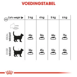 Royal Canin Dental Care Kattenvoer 3,5kg -ROYAL CANIN Winkel 87cf17d147fbd085e4655802ded4226cb6e76488ebb3f98d72bdcf3c8ce16388
