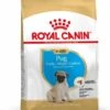 Royal Canin Pug/Mopshond Puppy - Hondenvoer - 1,5kg -ROYAL CANIN Winkel 99d32243857e6cbb8677ea6a83edd8a1d42014abd1f3b77e64512c0dcfbdf543