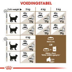 Royal Canin Ageing 12+ Kattenvoer 2kg -ROYAL CANIN Winkel 9ceb39e837ba7480077b21230bc47074a9280873228e651612153a1f21d0b998 3