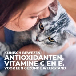 Hill's Science Plan Kitten Perfect Digestion Met Kip En Bruine Rijst Kattenvoer 10kg -ROYAL CANIN Winkel Hills Science Plan Kitten Perfect Digestion 6 NL