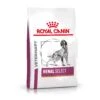 Royal Canin Renal Select - Hondenvoer - 10kg -ROYAL CANIN Winkel RC VET DRY DogRenalSel 2