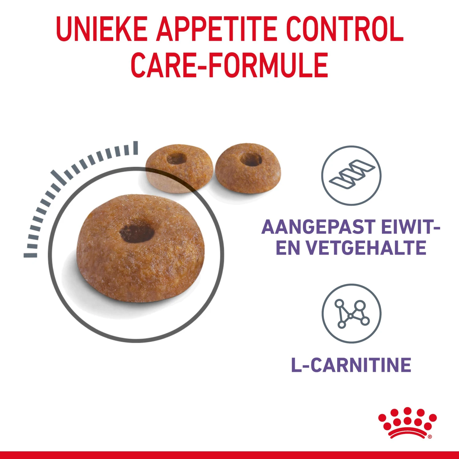 Royal Canin Appetite Control Kattenvoer 2kg 7 Royal Canin Appetite Control Kattenvoer 2kg - Afbeelding 5