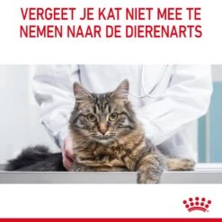 Royal Canin Appetite Control Kattenvoer 2kg 24 Royal Canin Appetite Control Kattenvoer 2kg -ROYAL CANIN Winkel Royal Canin Appetite Control Care Kat NL 11