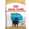 Royal Canin Rottweiler Puppy Hondenvoer 12kg -ROYAL CANIN Winkel Royal Canin Breed Health Nutrition Rottweiler Puppy