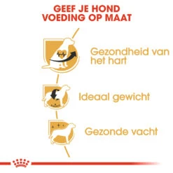 Royal Canin Cavalier King Charles Adult Hondenvoer 3kg -ROYAL CANIN Winkel Royal Canin Cavalier King Charles NL 5