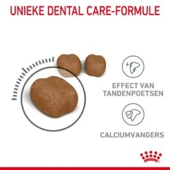 Royal Canin Dental Care Kattenvoer 3,5kg -ROYAL CANIN Winkel Royal Canin Dental Care Kat NL 04