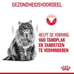 Royal Canin Dental Care Kattenvoer 1,5kg -ROYAL CANIN Winkel Royal Canin Dental Care Kat NL 06 1