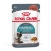 Royal Canin Hairball Care Natvoer In Gravy Kattenvoer 12x85g 2 Royal Canin Hairball Care Natvoer In Gravy Kattenvoer 12x85g -ROYAL CANIN Winkel Royal Canin Hairball Care Gravy Cat 1 1