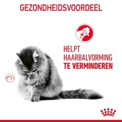 Royal Canin Hairball Care Kattenvoer 2kg -ROYAL CANIN Winkel Royal Canin Hairball Care Kat NL 07