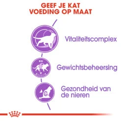 Royal Canin Sterilised 7+ Kattenvoer 10kg -ROYAL CANIN Winkel Royal Canin Sterilised 7 Kat NL 4 1