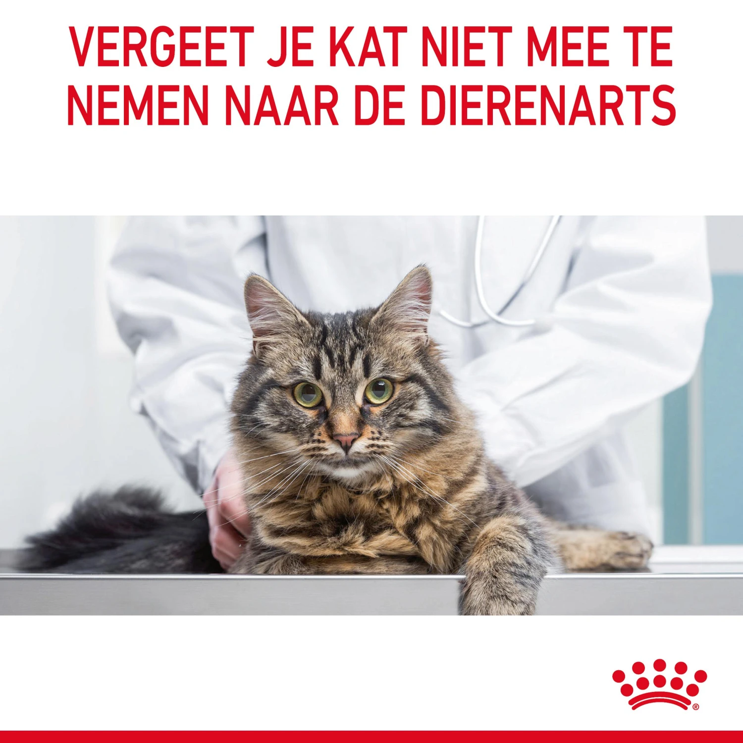 Royal Canin Urinary Care Kattenvoer 10kg 13 Royal Canin Urinary Care Kattenvoer 10kg - Afbeelding 11