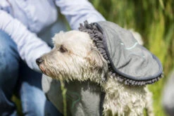 Trixie Handdoek Microvezel 78 × 32 Cm Grijs -ROYAL CANIN Winkel TRIXIE20TOWEL20MICROFIBER207820C397203220CM20GREY28329