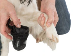 Trixie Pootbescherming Walker Active M 2st. -ROYAL CANIN Winkel a9ed7403e7270fba9cbe0c569267f57bb704d33b769ec1a5458f95b1bf0c54e0