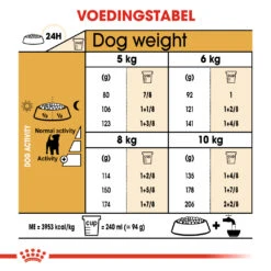 Royal Canin Jack Russell Adult - Hondenvoer - 3kg 7 Royal Canin Jack Russell Adult - Hondenvoer - 3kg -ROYAL CANIN Winkel ad90d20e8be659a05b8d6ea3d9c84a4959dbd6443649feb4970eb79fc6868336 1