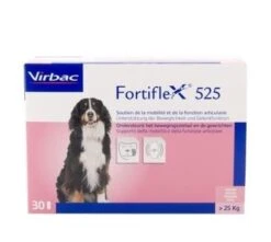 Fortiflex 525 - 30 Tabletten
