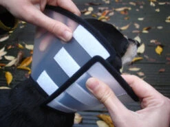 Flamingo Beschermkraag Capo 31,5cm -ROYAL CANIN Winkel e2578f0de7dfac1a438fa05f0c616aa46fff5514395f242304922963edc56053