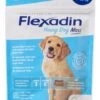 Flexadin Young Dog Maxi 60 Chews -ROYAL CANIN Winkel flexadyn 20young 20dog 20maxi 20b 20Medium