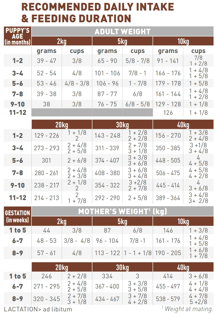 Royal Canin Gastro Intestinal Junior - Hondenvoer - 2,5kg 4 Royal Canin Gastro Intestinal Junior - Hondenvoer - 2,5kg - Afbeelding 2
