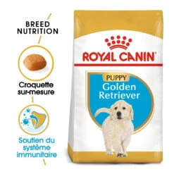 Royal Canin Golden Retriever Puppy - Hondenvoer - 12kg -ROYAL CANIN Winkel royal canin golden retriever puppy golden retriever junior 1