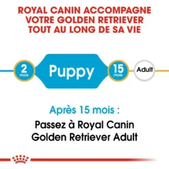 Royal Canin Golden Retriever Puppy - Hondenvoer - 12kg -ROYAL CANIN Winkel royal canin golden retriever puppy golden retriever junior 3
