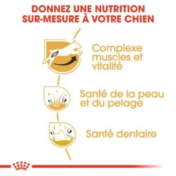 Royal Canin Jack Russell Adult - Hondenvoer - 7,5kg -ROYAL CANIN Winkel royal canin jack russell adult jack russell adulte 2