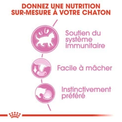 Royal Canin Kitten In Gravy Kat 12x 85g -ROYAL CANIN Winkel royal canin kitten sauce pour chaton royal canin 2