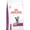 Royal Canin Renal - Kattenvoer - 4kg -ROYAL CANIN Winkel vhn vital support renal cat dry packshot med. res. basic 394218 1